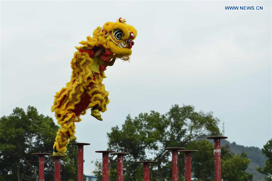 #CHINA-GUANGXI-DRAGON AND LION DANCE-CONTEST (CN)