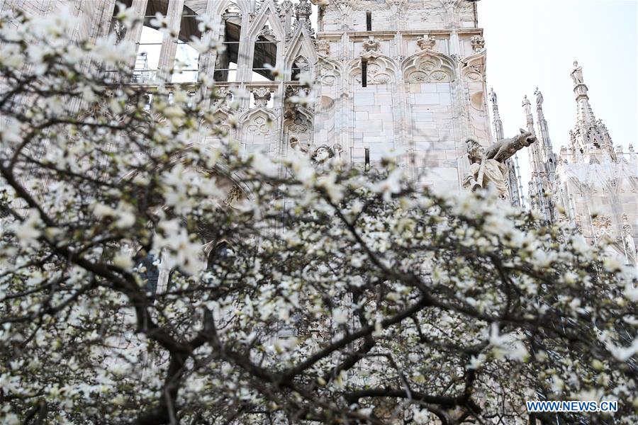 ITALY-MILAN-FLOWERS