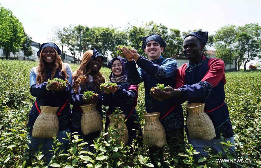 CHINA-JIANGSU-FOREIGN STUDENT-TEA GARDEN(CN)