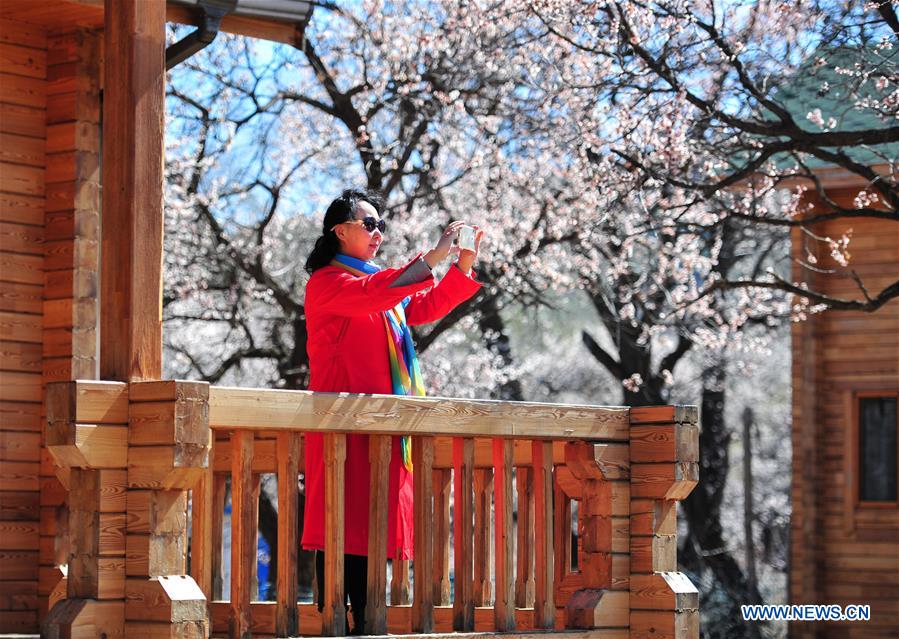 CHINA-INNER MONGOLIA-SPRING SCENERY (CN)