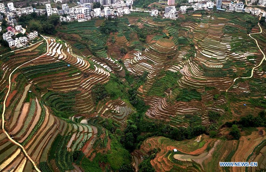 CHINA-GUANGXI-LONGLIN-TERRACE SCENERY (CN)