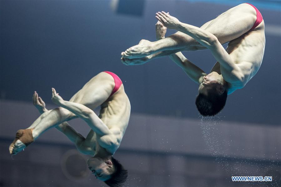 (SP)CHINA-WUHAN-DIVING-FINA-WORLD CUP (CN)