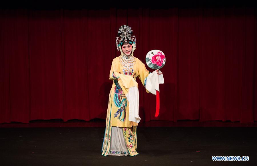 ITALY-ROME-CHINESE TRADITIONAL ARTS-SHOW