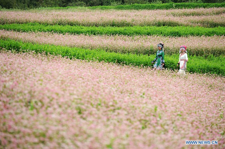 CHINA-GUIZHOU-WEINING-TOURISM (CN) 