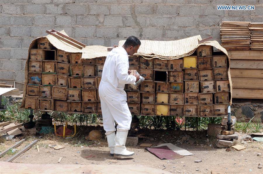 YEMEN-SANAA-HONEY INDUSTRY