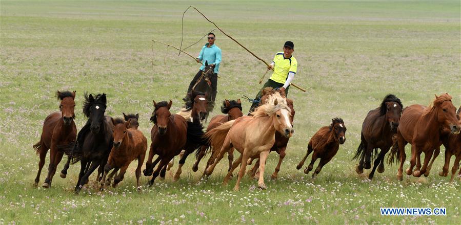 #CHINA-INNER MONGOLIA-TRADITIONAL ACTIVITY (CN)