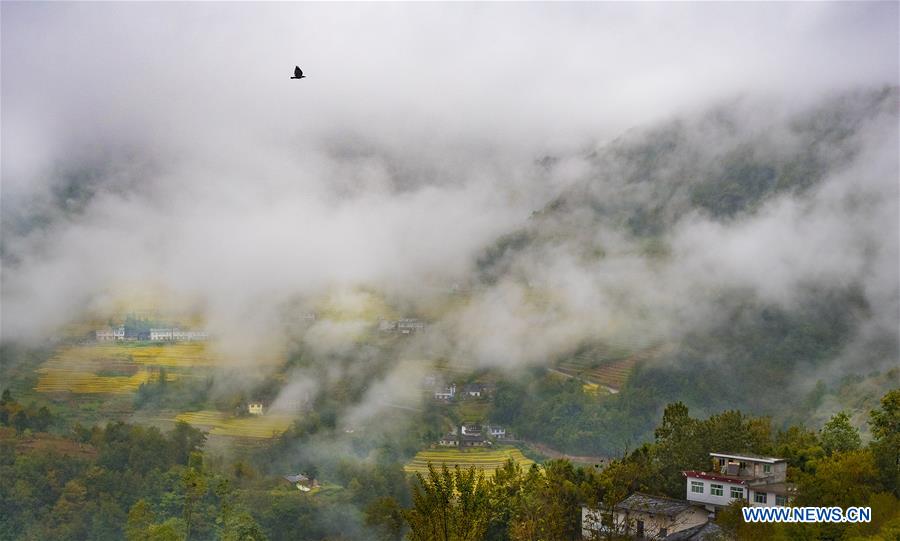 CHINA-SHAANXI-TERRACED FIELDS (CE)