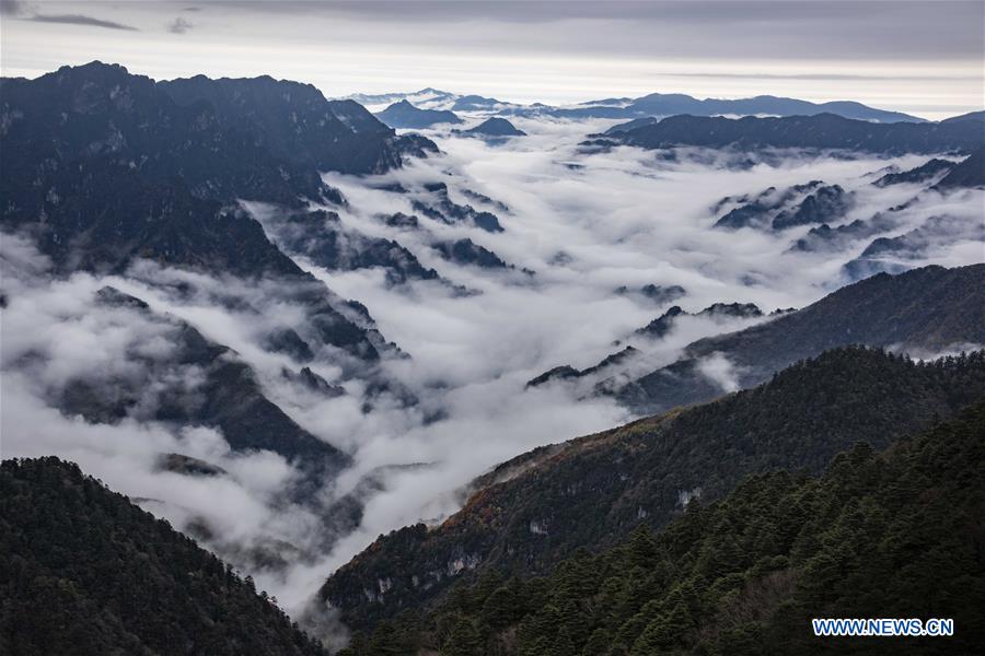 CHINA-HUBEI-SHENNONGJIA-SCENERY (CN)