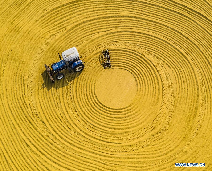 XINHUA PHOTO WEEKLY CHOICES