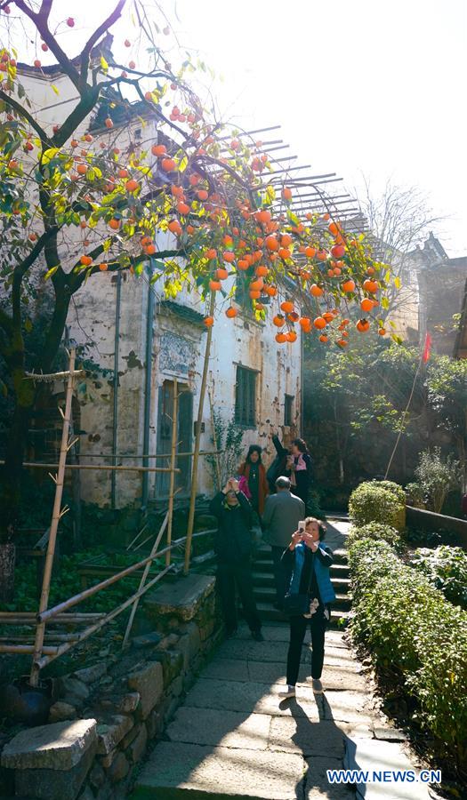 CHINA-JIANGXI-WUYUAN-SCENERY (CN)