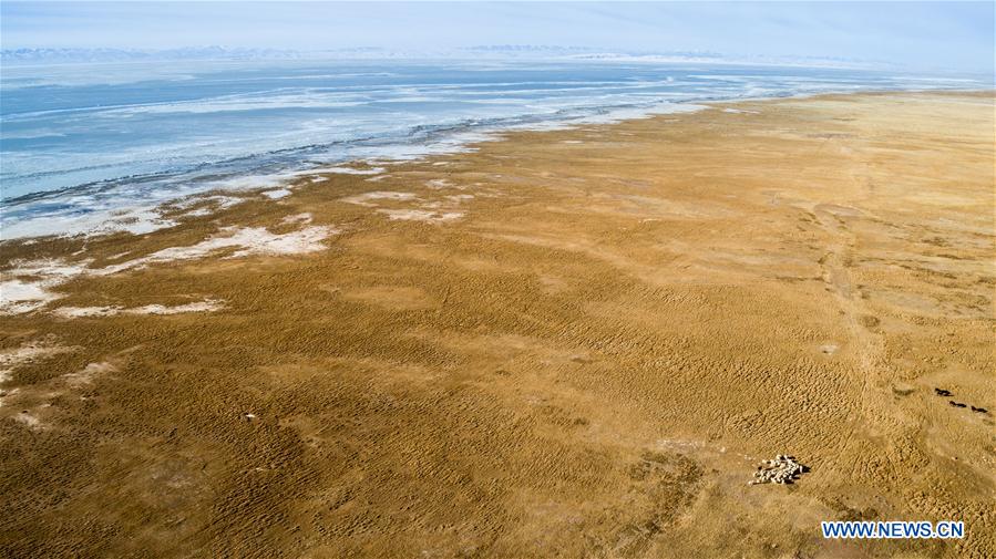 CHINA-QINGHAI LAKE-SCENERY (CN)