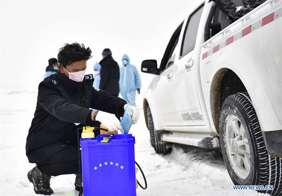 CHINA-QINGHAI-YUSHU-BLIZZARD (CN)