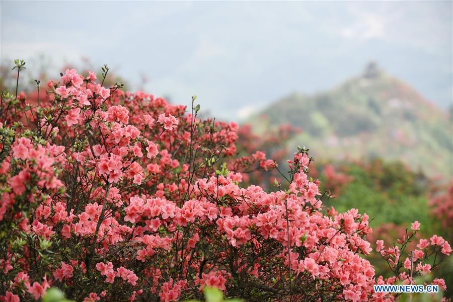 CHINA-GUIZHOU-DANZHAI-SCENERY