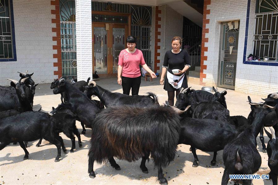 CHINA-YUNNAN-YANSHAN-POVERTY ALLEVIATION (CN)