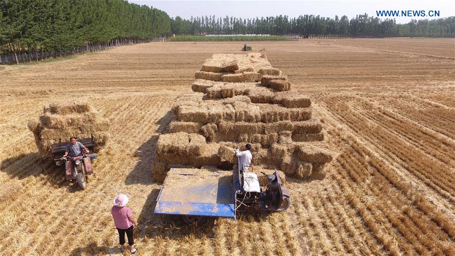 #CHINA-WHEAT STRAW-RECYCLING (CN)