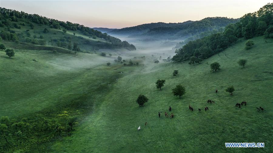 CHINA-SHAANXI-BAOJI-GUANSHAN GRASSLAND (CN)