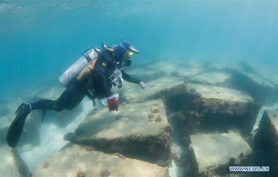 CHINA-HAINAN-BOUNDARY ISLAND-DIVING (CN)