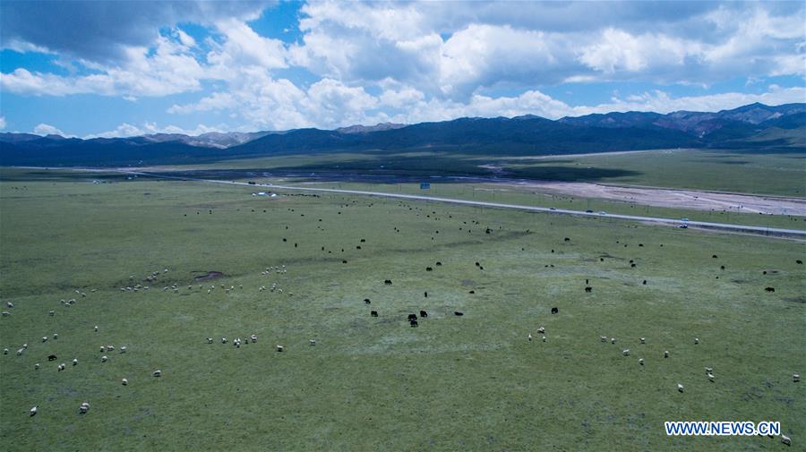 CHINA-QINGHAI-QILIAN-SCENERY (CN)