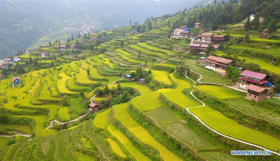 CHINA-GUIZHOU-PADDY FIELDS-TERRACED LANDS (CN)