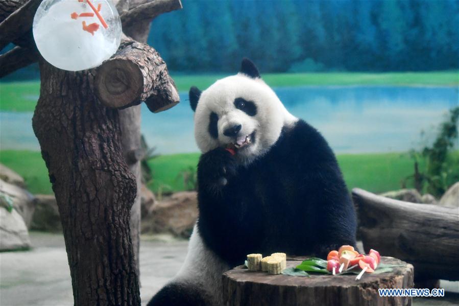 CHINA-TAIPEI-GIANT PANDAS-MID-AUTUMN FESTIVAL (CN)