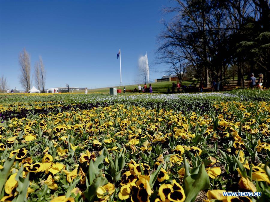 AUSTRALIA-CANBERRA-FLORIADE