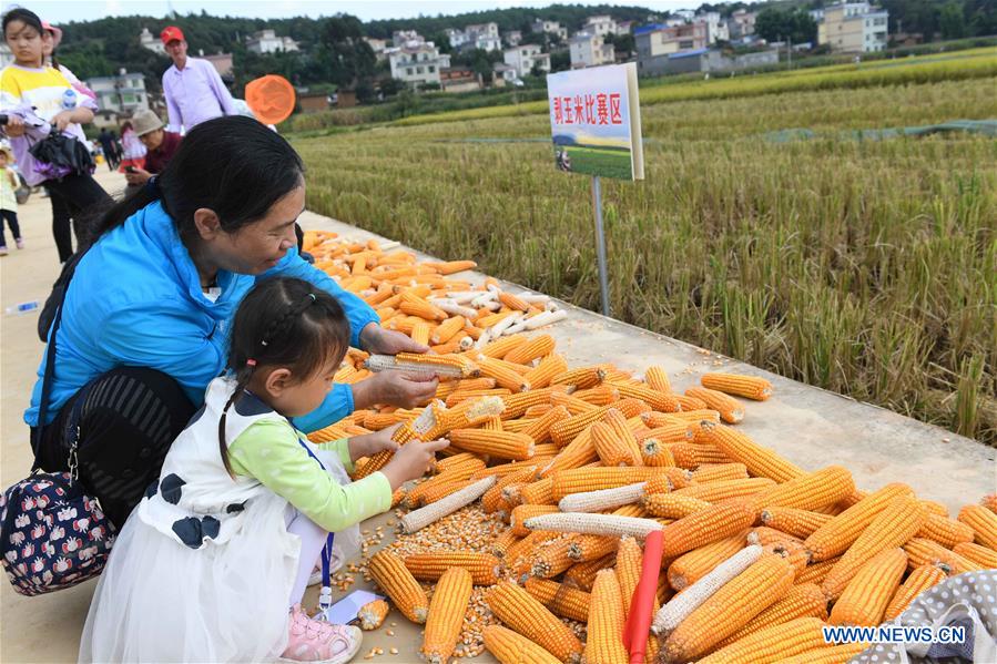 CHINA-YUNNAN-XUNDIAN-HARVEST-CELEBRATION (CN)