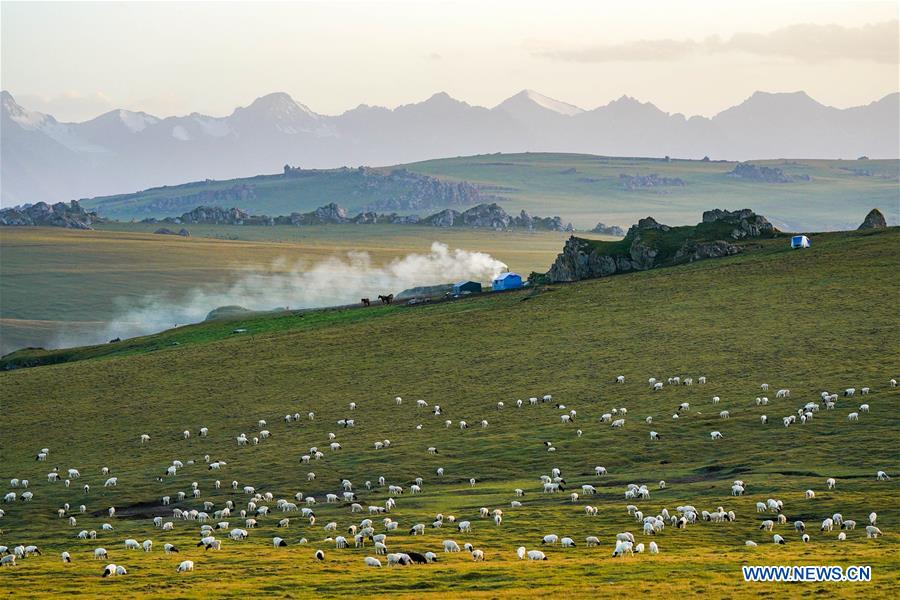 (EcoChina)CHINA-HORTICULTURAL EXPO-XINJIANG (CN)