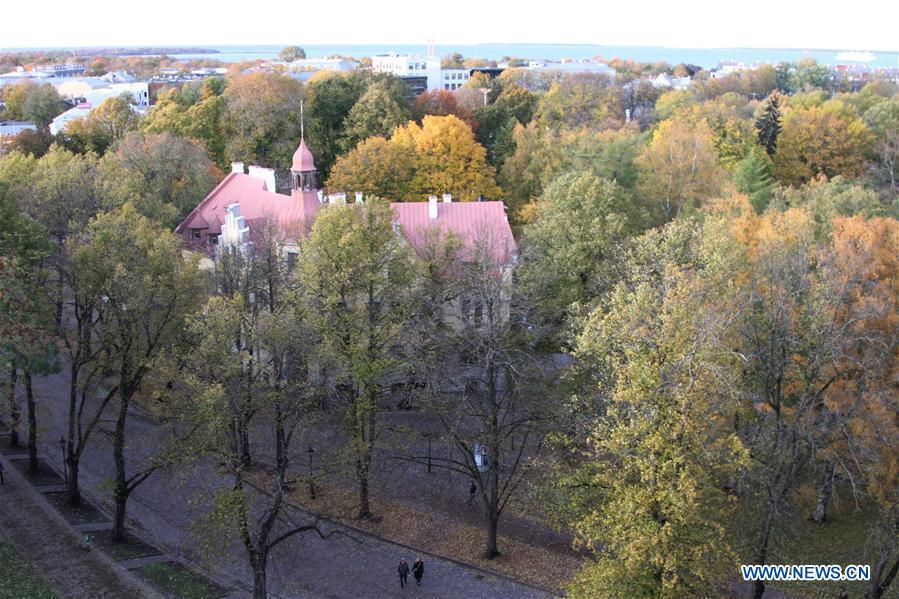 ESTONIA-TALLINN-AUTUMN SCENERY