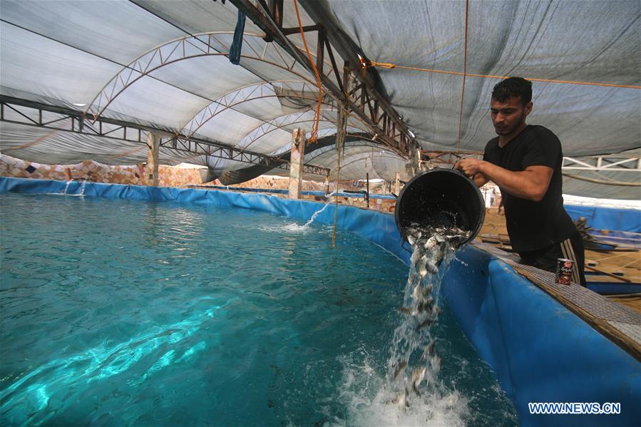 MIDEAST-GAZA-FISH FARM