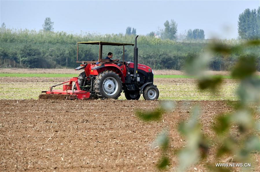 CHINA-HENAN-BAOFENG-FARMING (CN)