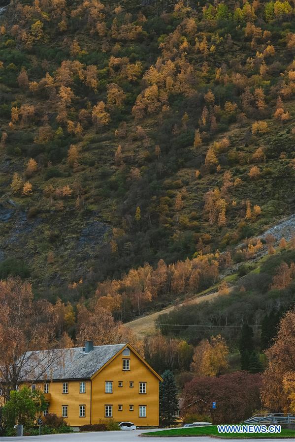 NORWAY-AUTUMN-SCENERY