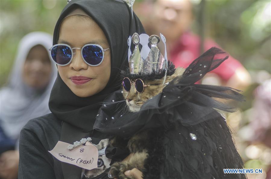 INDONESIA-BANDUNG-CAT-COSTUME-CONTEST