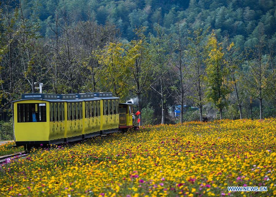 CHINA-ZHEJIANG-CHANGXING-SCENERY (CN)