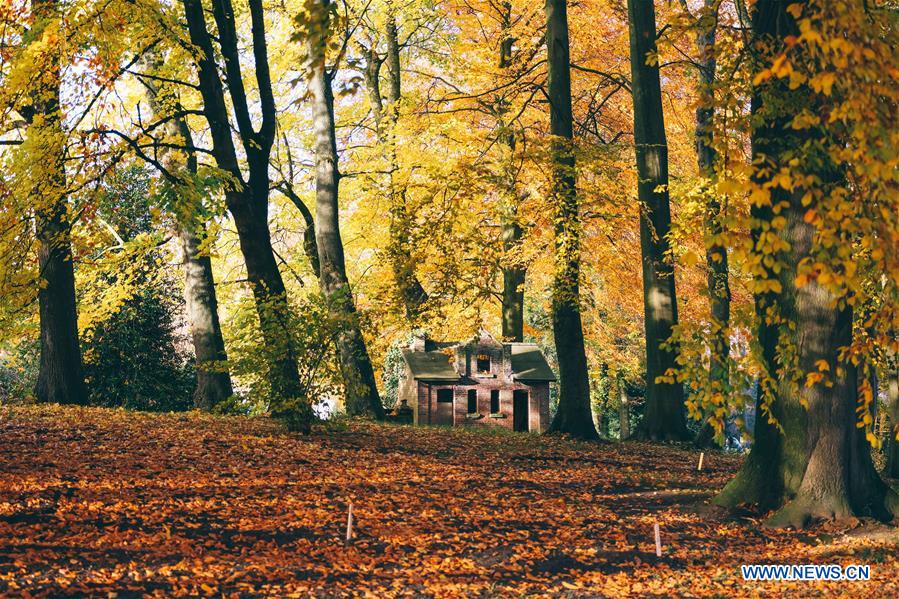 BELGIUM-BRUSSELS-AUTUMN SCENERY