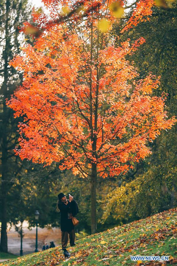 BELGIUM-BRUSSELS-AUTUMN SCENERY