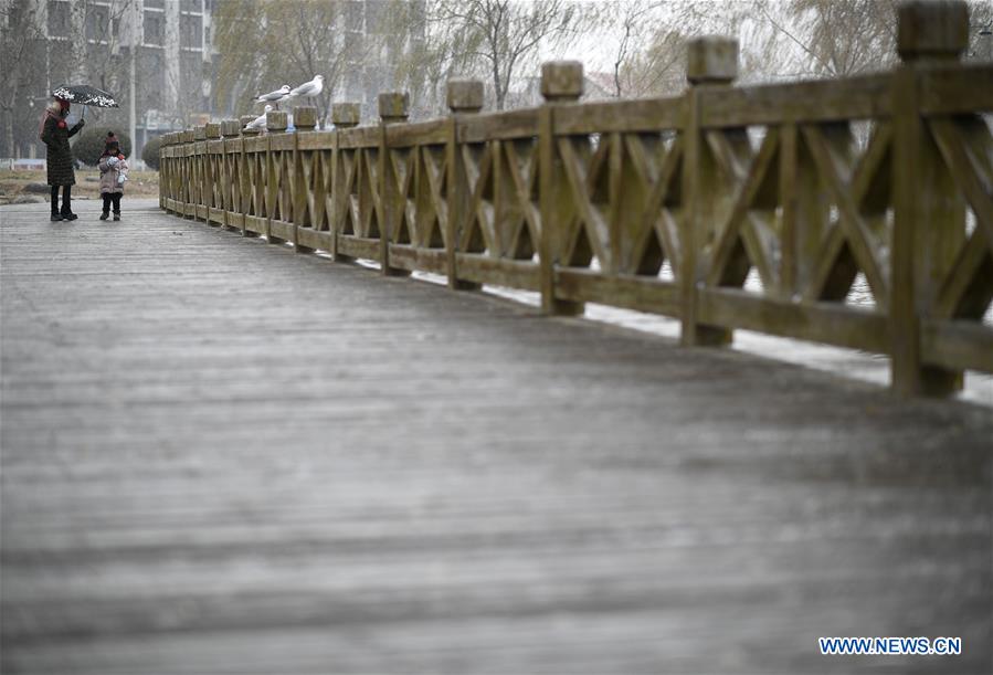 CHINA-NINGXIA-YINCHUAN-SNOWFALL (CN)