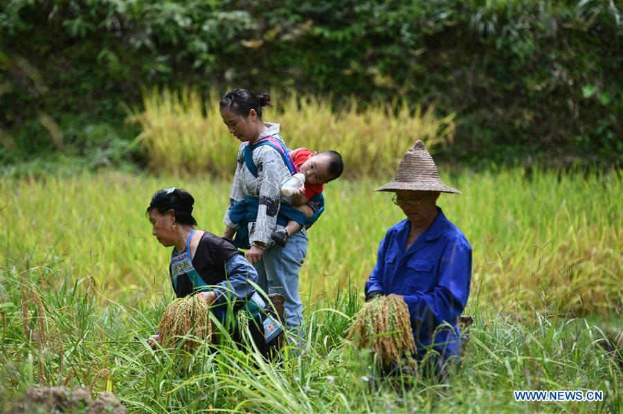 CHINA-GUANGXI-RONGSHUI-RURAL LIFE (CN)