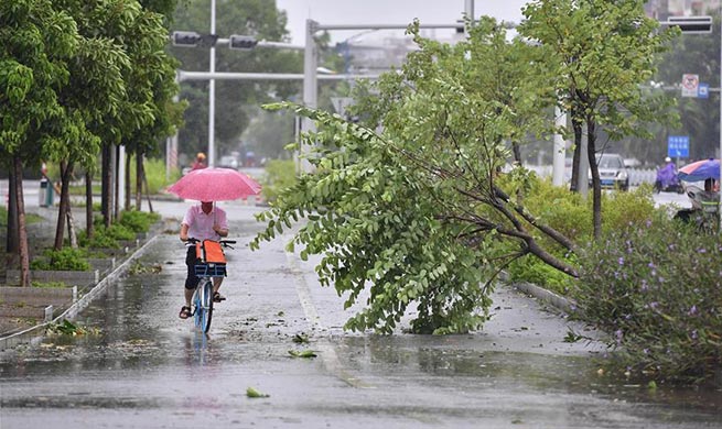 Super Typhoon Mangkhut ravages China's Guangxi