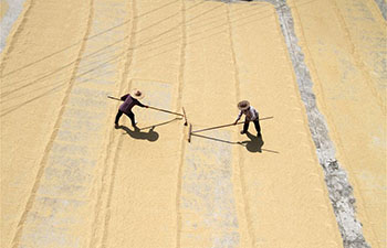 In pics: China's harvest season