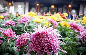 2018 chrysanthemum exhibition opens in Suzhou, E China's Jiangsu