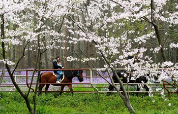 City forest flower exhibition held in Shanghai