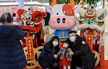 Chinese Lunar New Year decorations seen in Canada