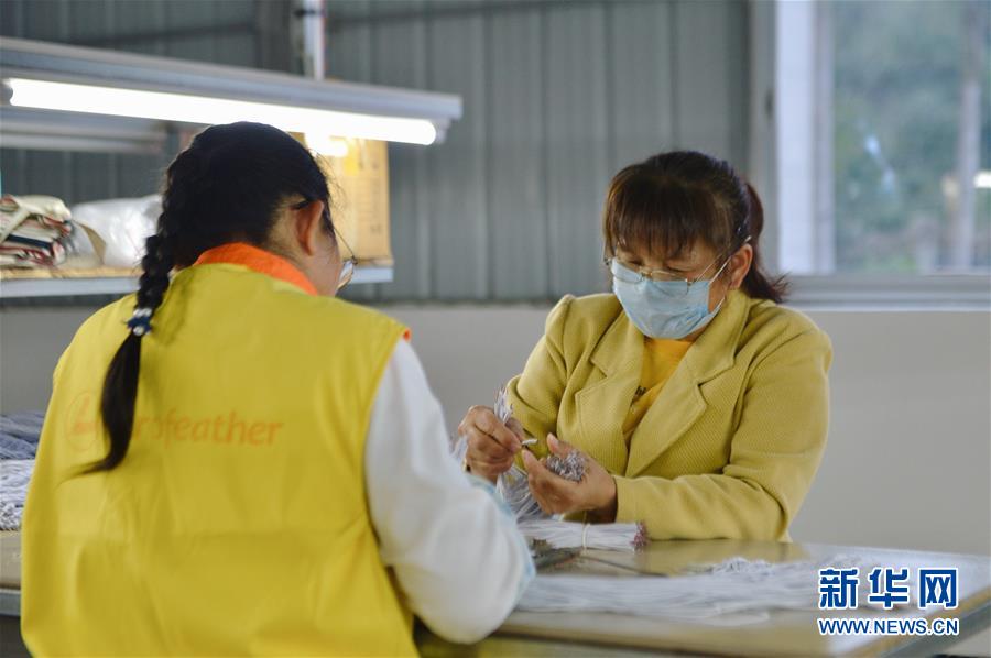 （图文互动）（2）人回乡、钱回流、企回迁——一个大石山区贫困县的返乡创业故事 