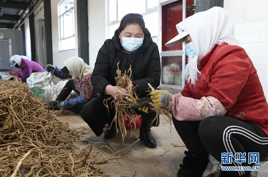 （新华全媒头条·图文互动）（2）特殊时期，他们这样履职——全国人大代表这个春天在行动